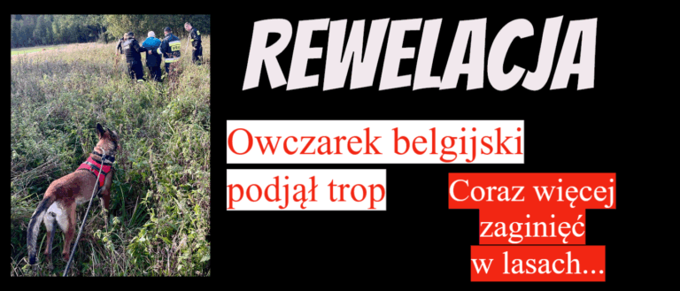 zaginięcia