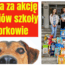 akcja