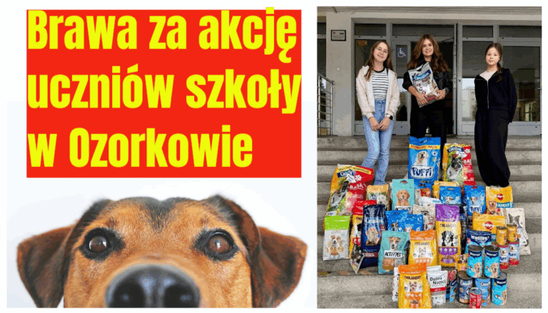 akcja