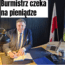 burmistrz