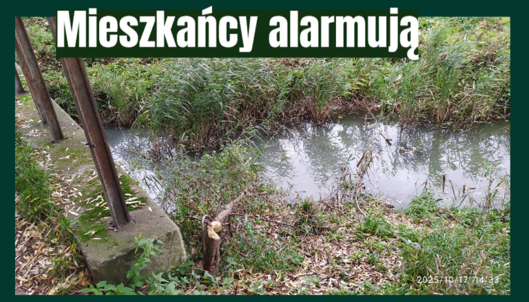 ścieki