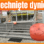 dynie