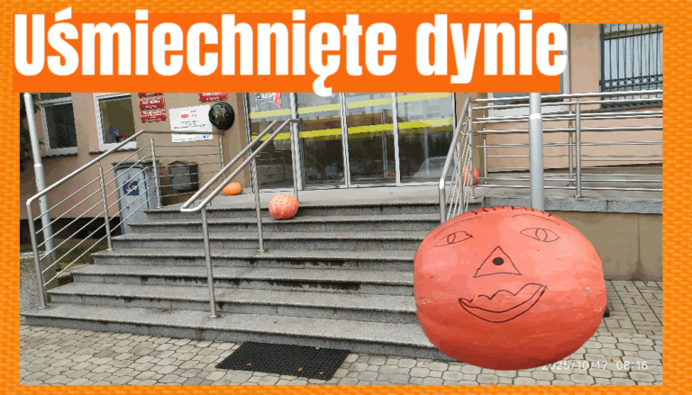 dynie