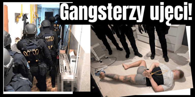 gangsterzy