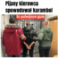 pijany kierowca