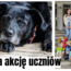 akcja