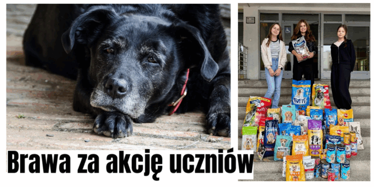 akcja