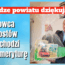 kierowca