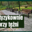 ławki