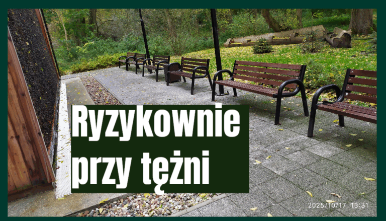 ławki