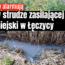 ścieki