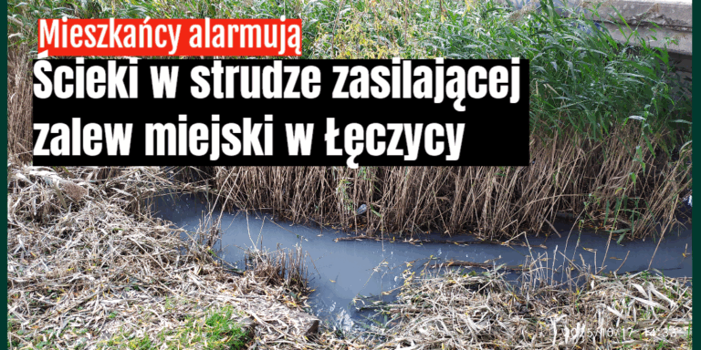 ścieki