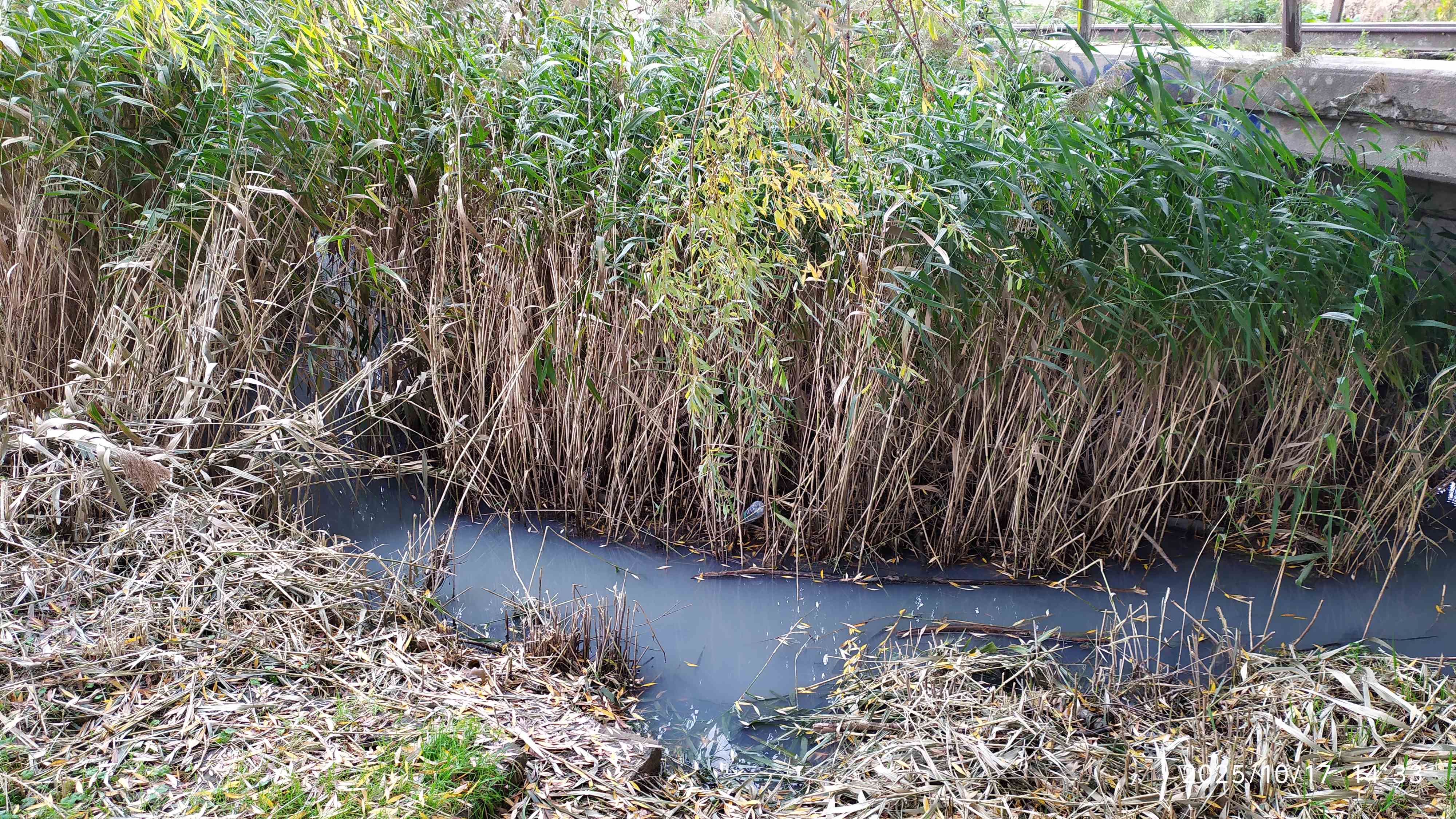 Skażona Czartówka w Łęczycy!