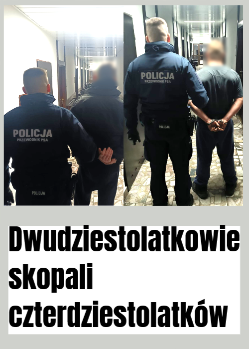 agresja