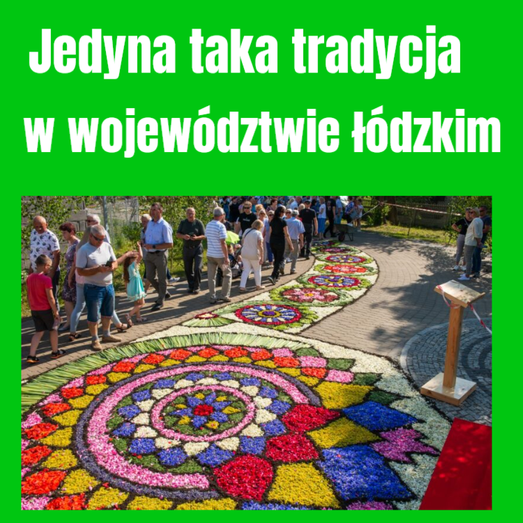 spycimierz