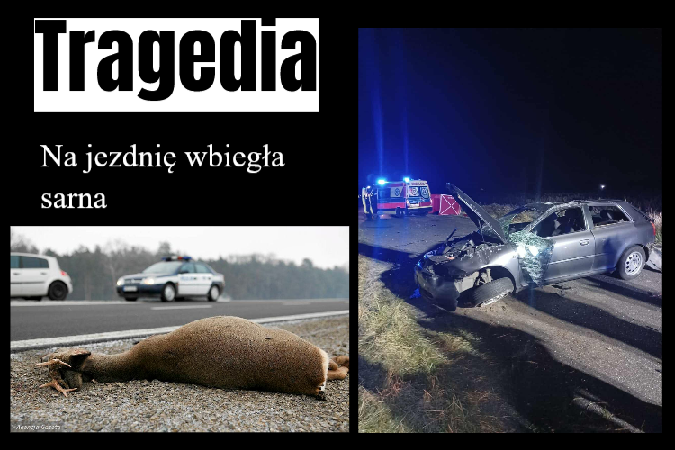 tragedia
