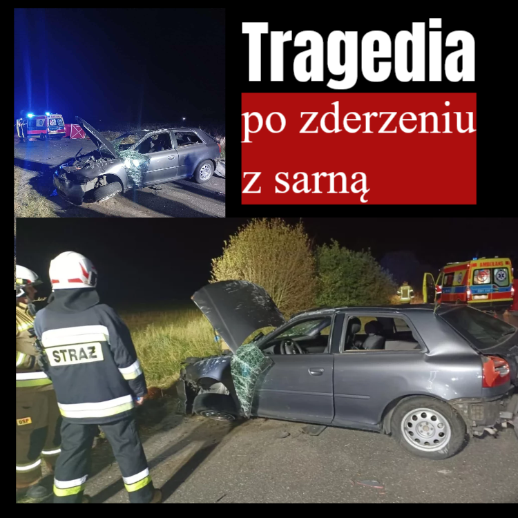 wypadek