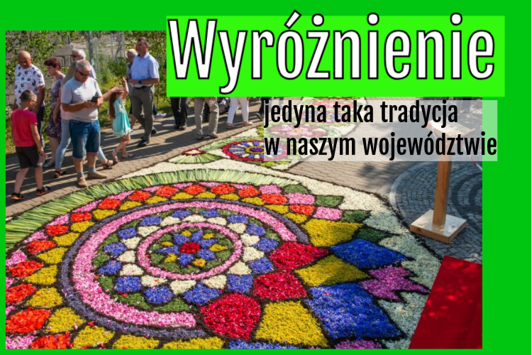 spycimierz