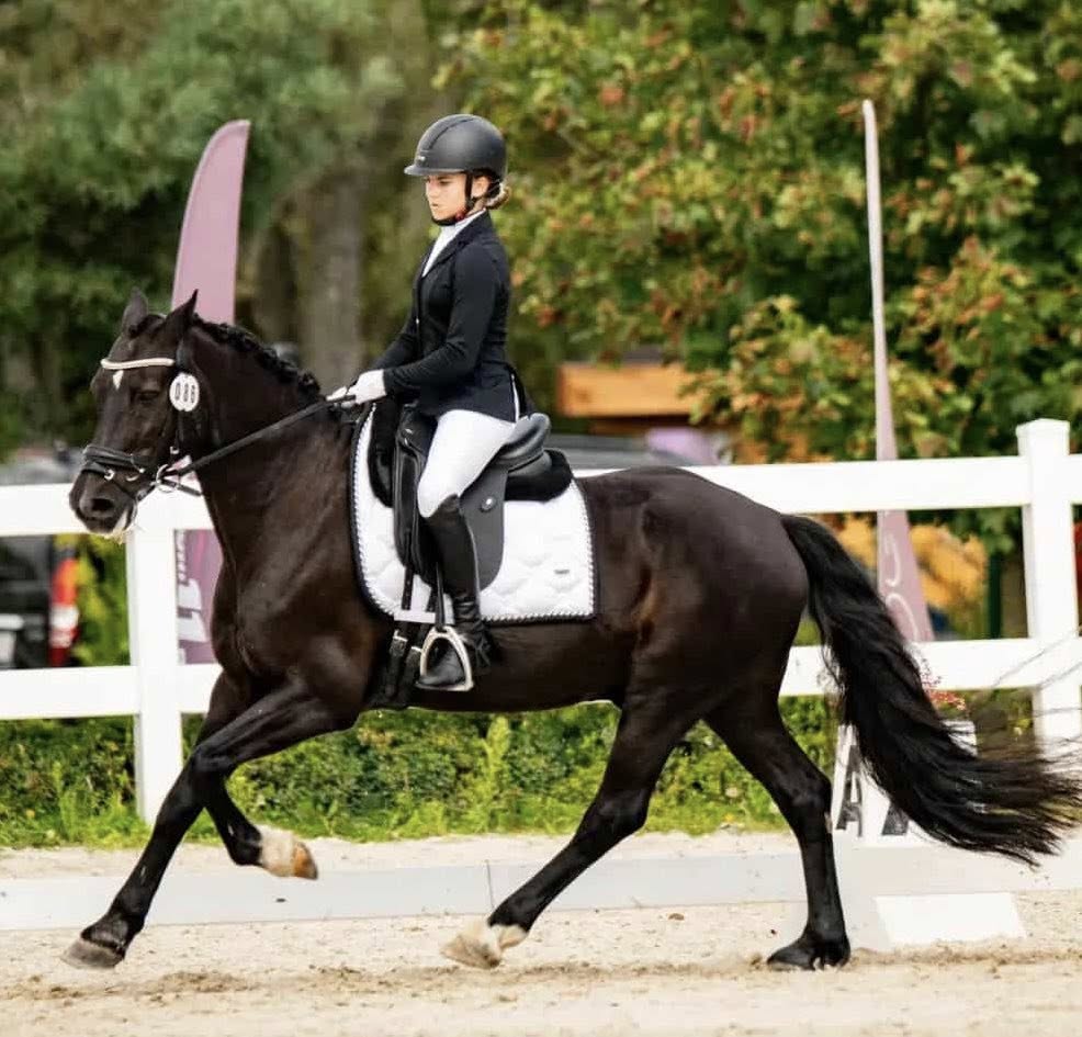 Alicja kocha jeździć konno