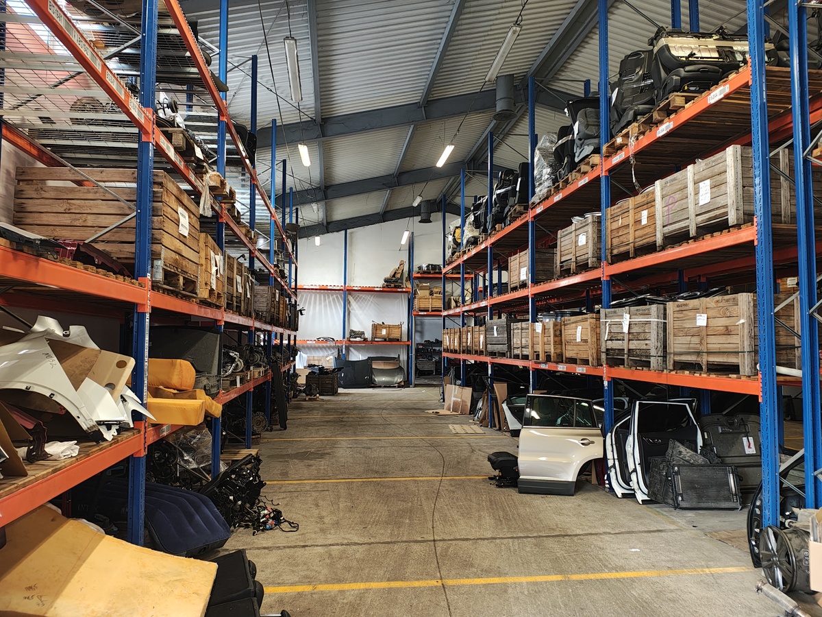 Dziupla na łódzkich Bałutach (wideo)