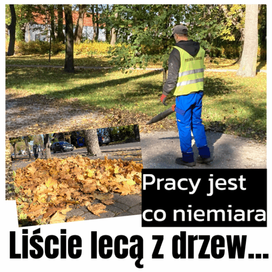 liście