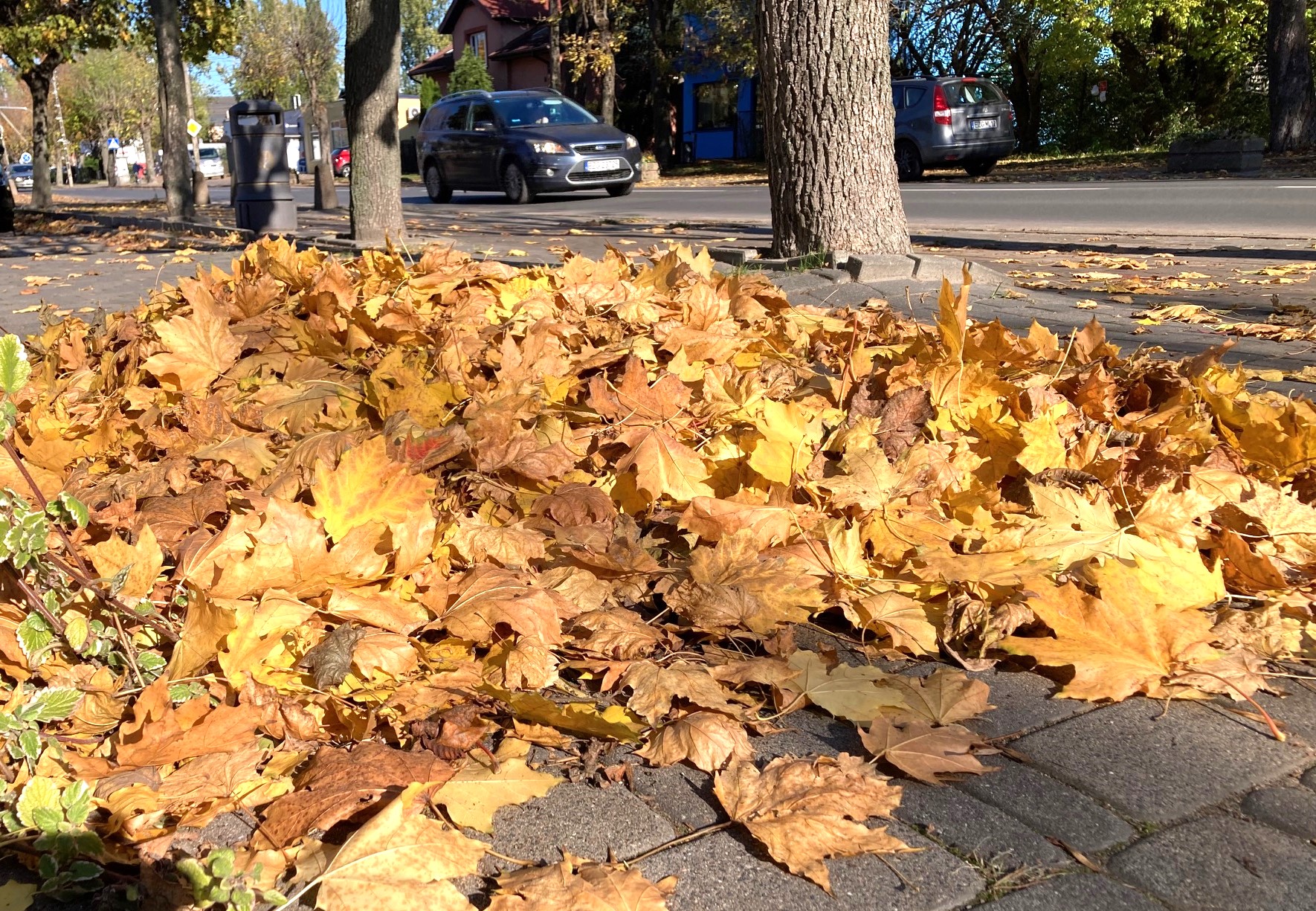 Służby na skraju wydolności