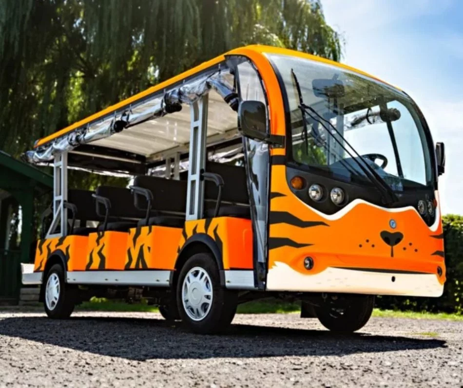 Biedronka, rekin i tygrys na ulicach Łodzi