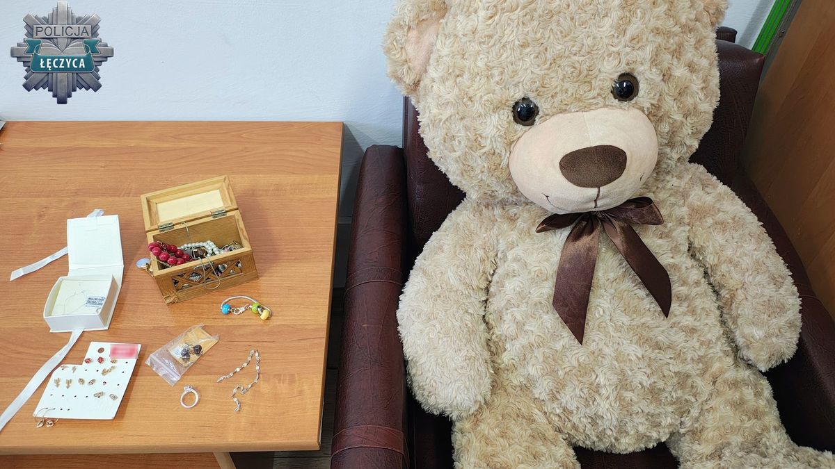 Włamali się do domu i skradli… pluszowego misia!