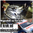 wypadek