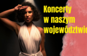 koncerty