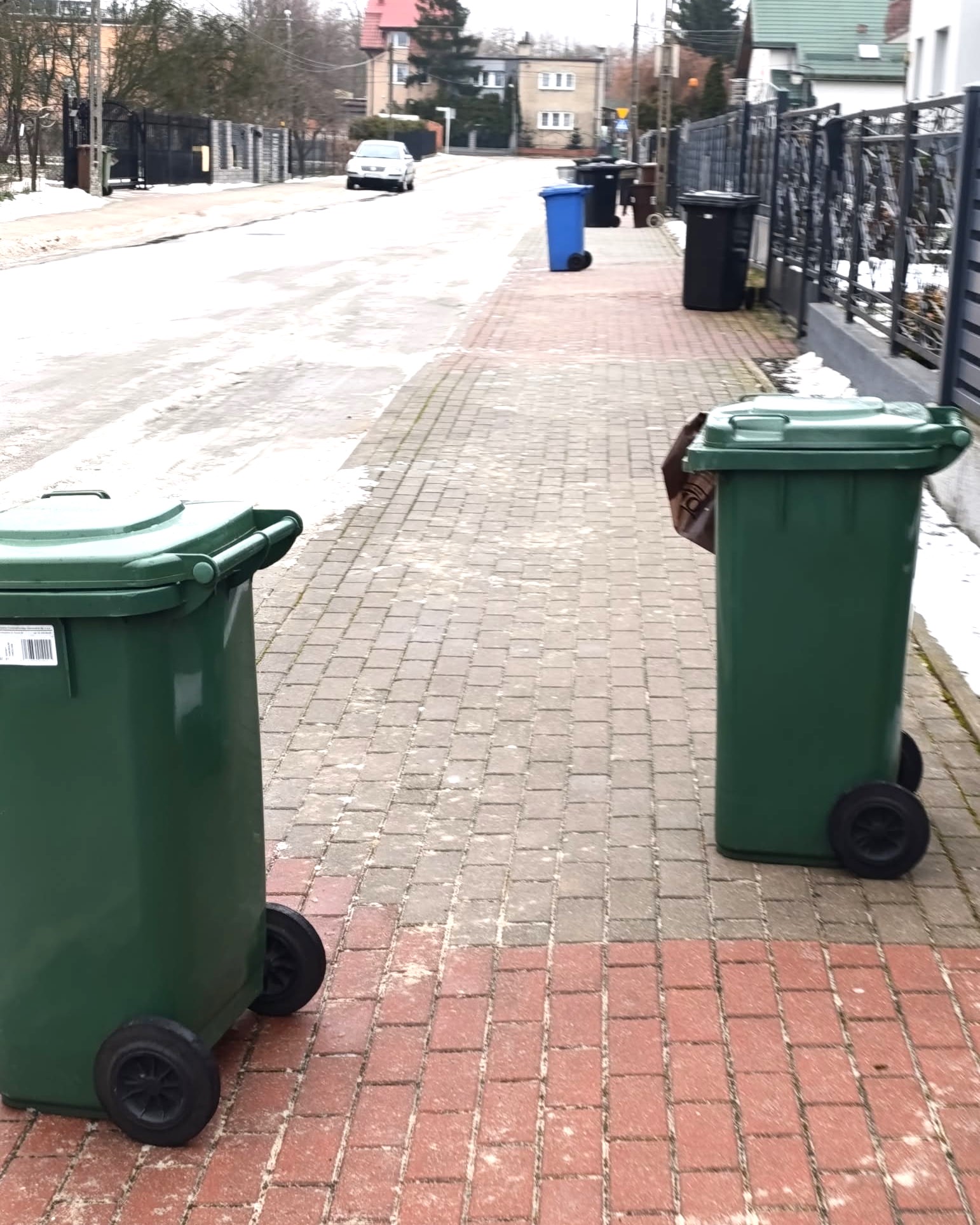 Aferka z Owocowego Osiedla