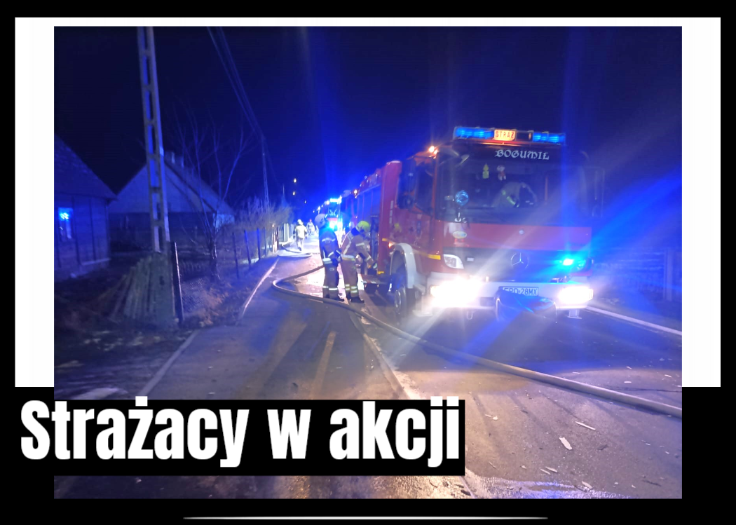 strażacy