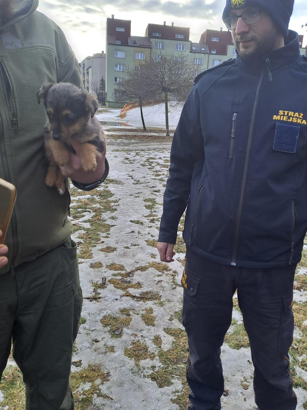 Mały piesek w kontenerze na odpady