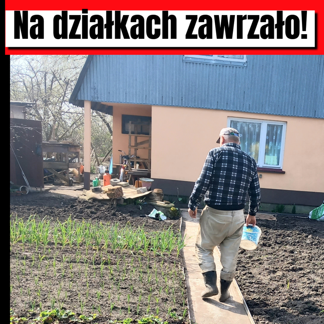 działki