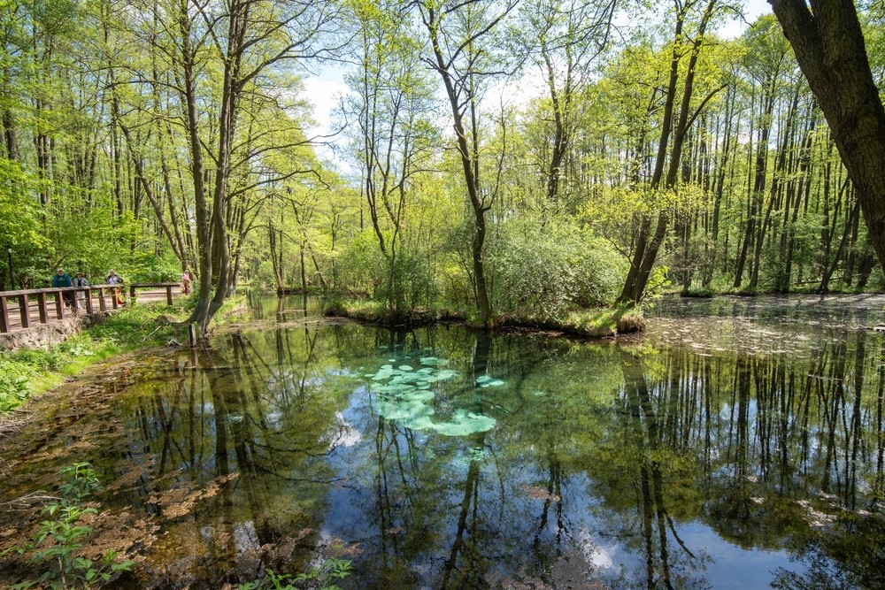 Łódzkie na wiosnę – odkryj z nami region