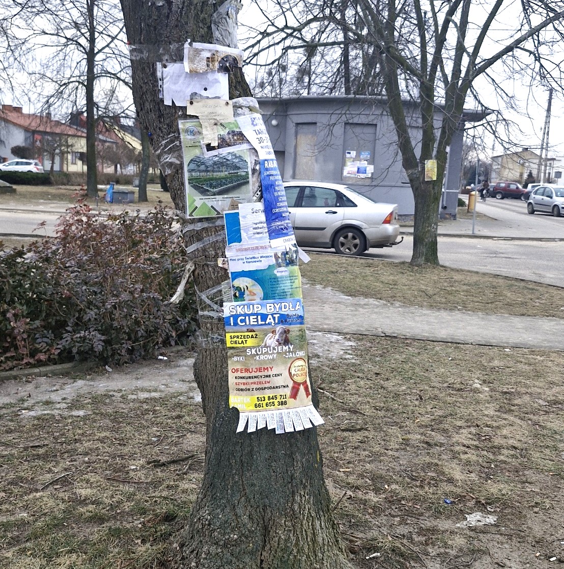 Centrum Grabowa kompletnie zaśmiecone!