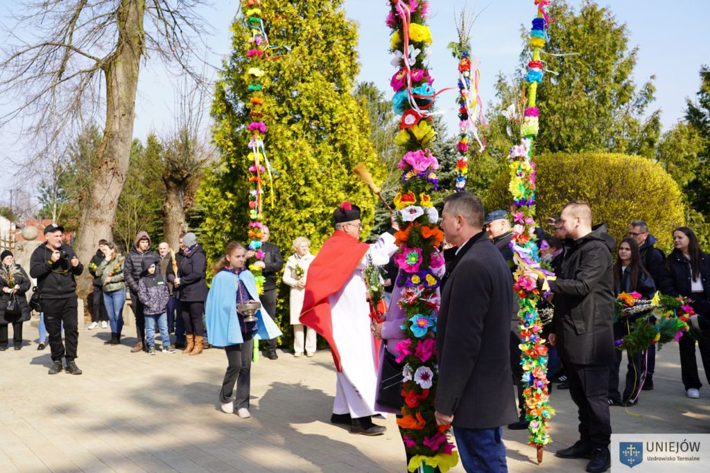 Imponujące palmy spod Uniejowa!