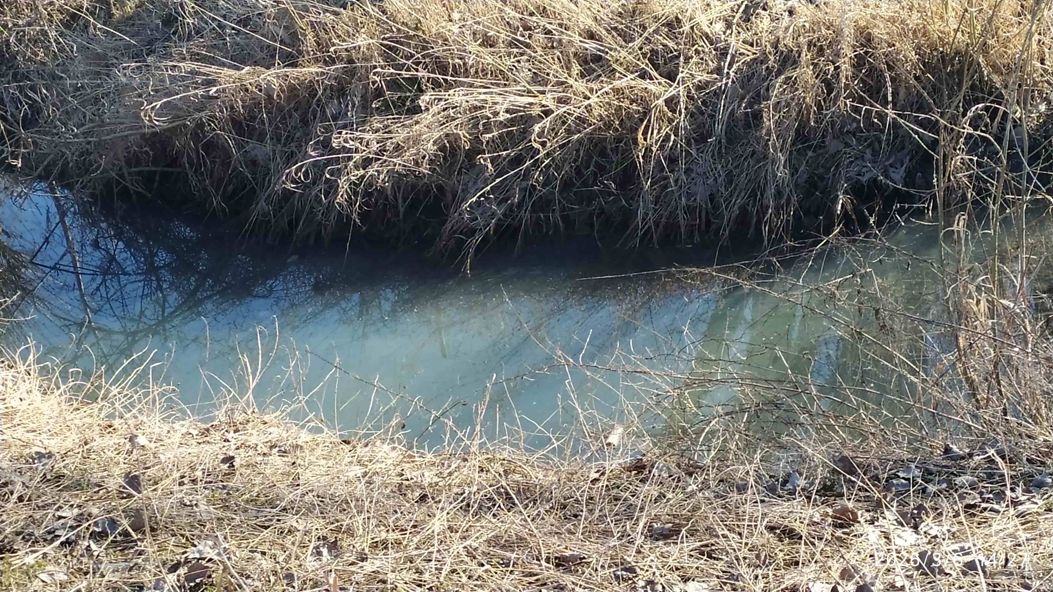 Smród nad zalewem w Łęczycy!
