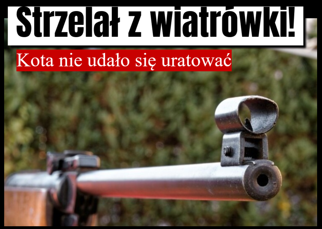 strzelał z wiatrówki