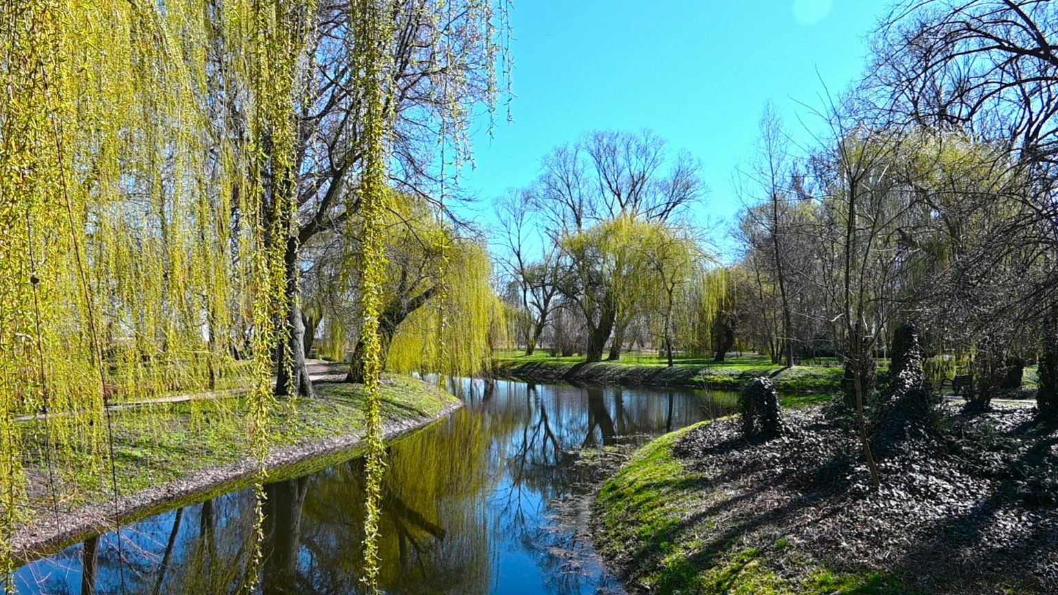 wiosna w parku