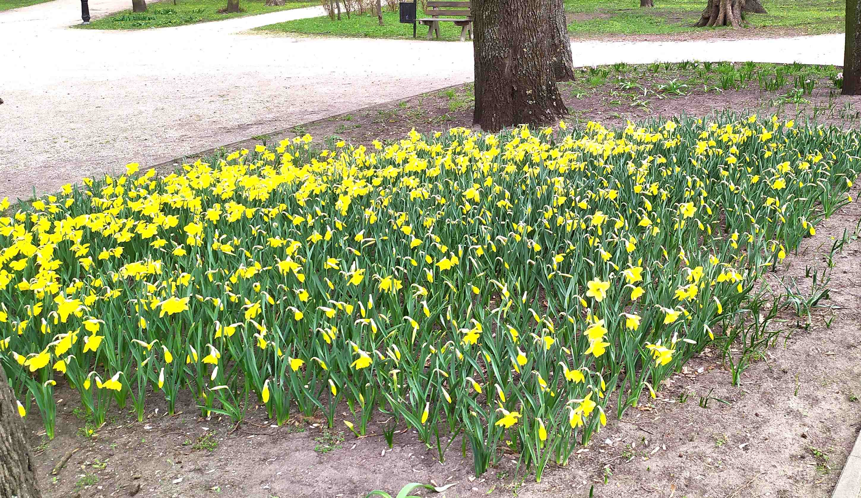 Łęczycanie wykorzystali piękny weekend
