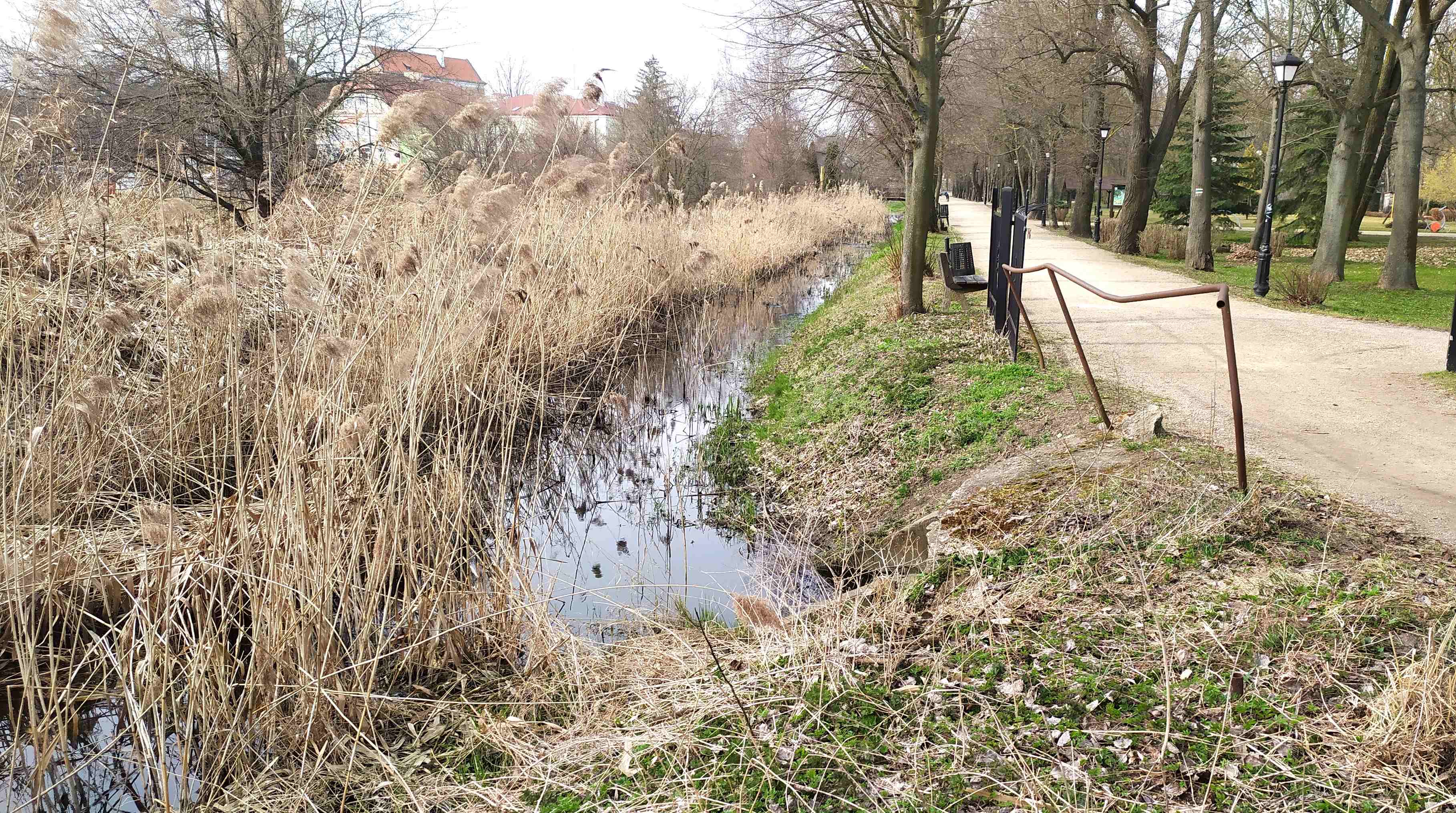 W Łęczycy cieki wodne zatrute ściekami komunalnymi!