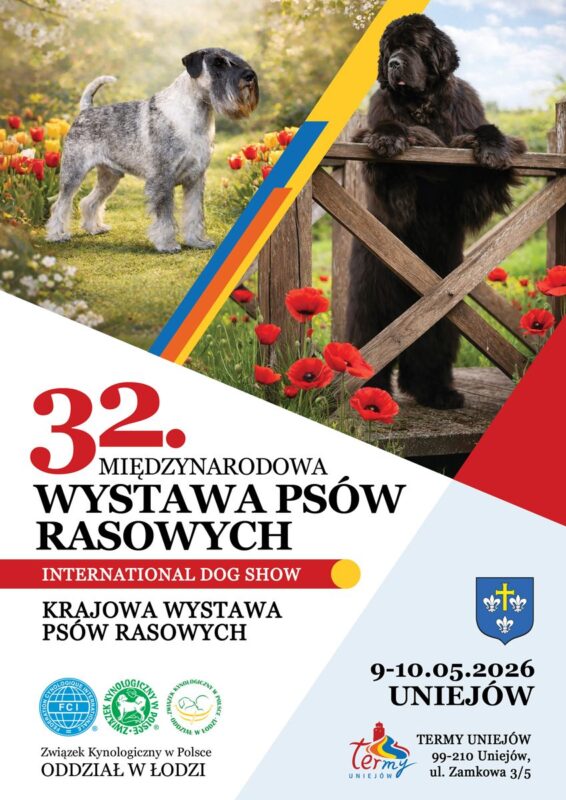 Psie piękności wracają do uzdrowiska! 32. Międzynarodowa Wystawa Psów Rasowych w Uniejowie
