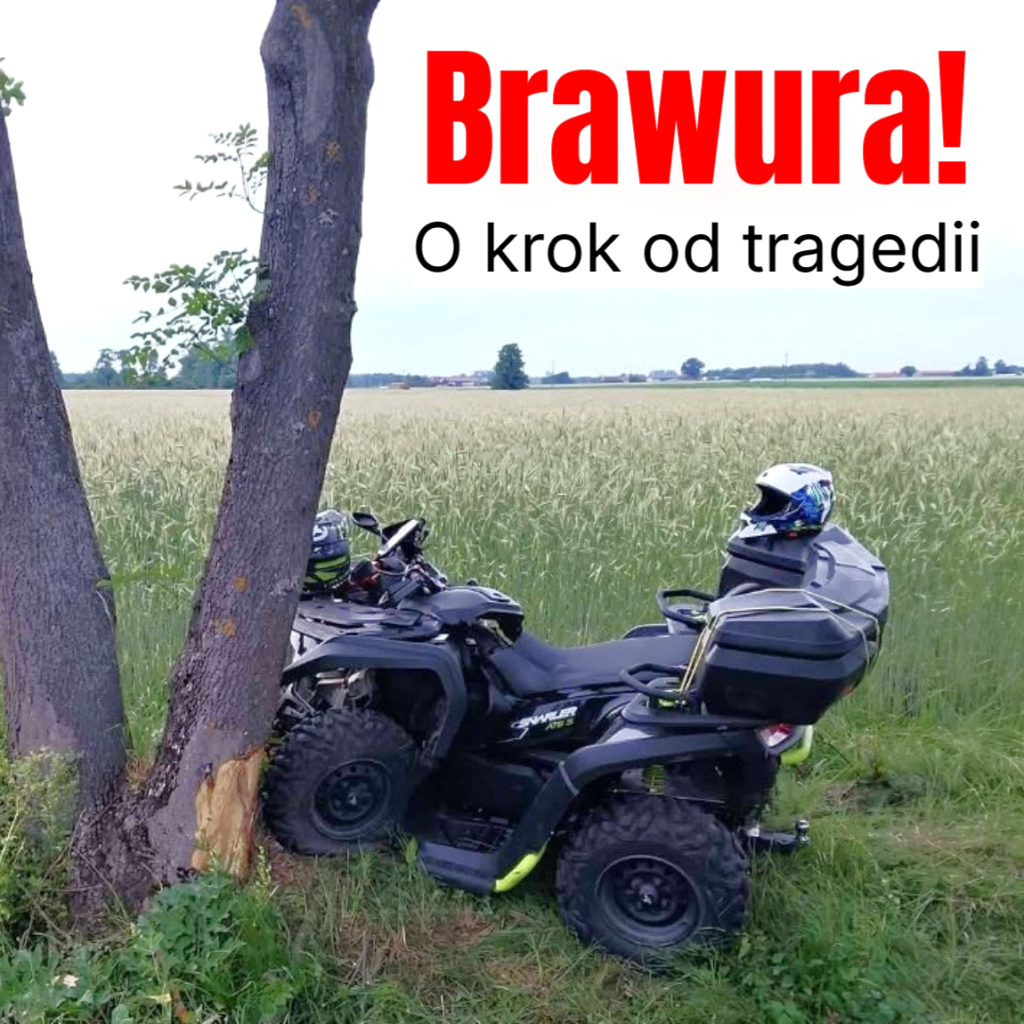 quad