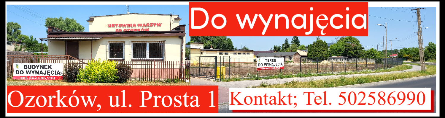 do wynajęcia