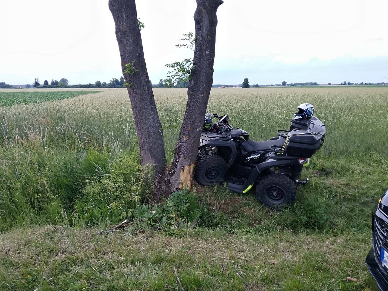 wypadek
