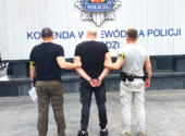 policja