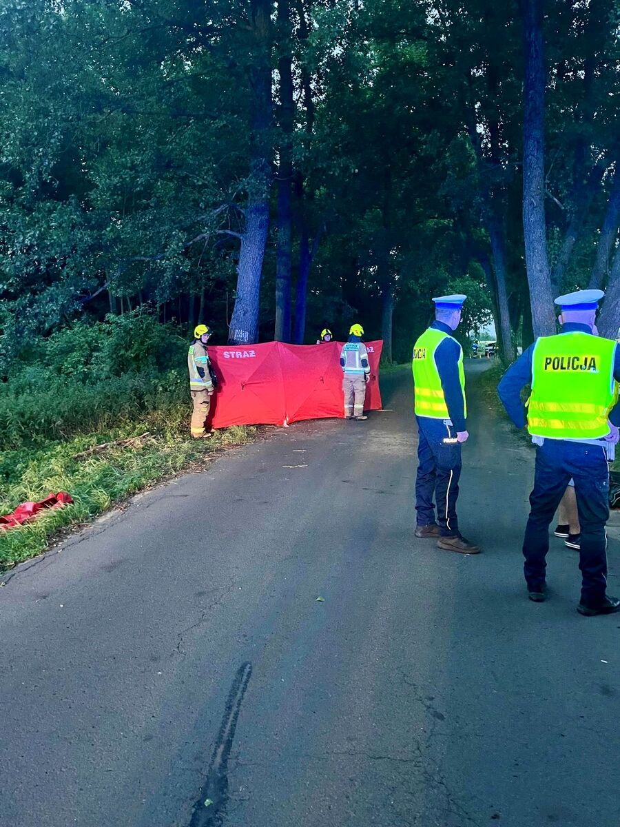 Śmierć 16-latka. Roztrzaskał się na drzewie