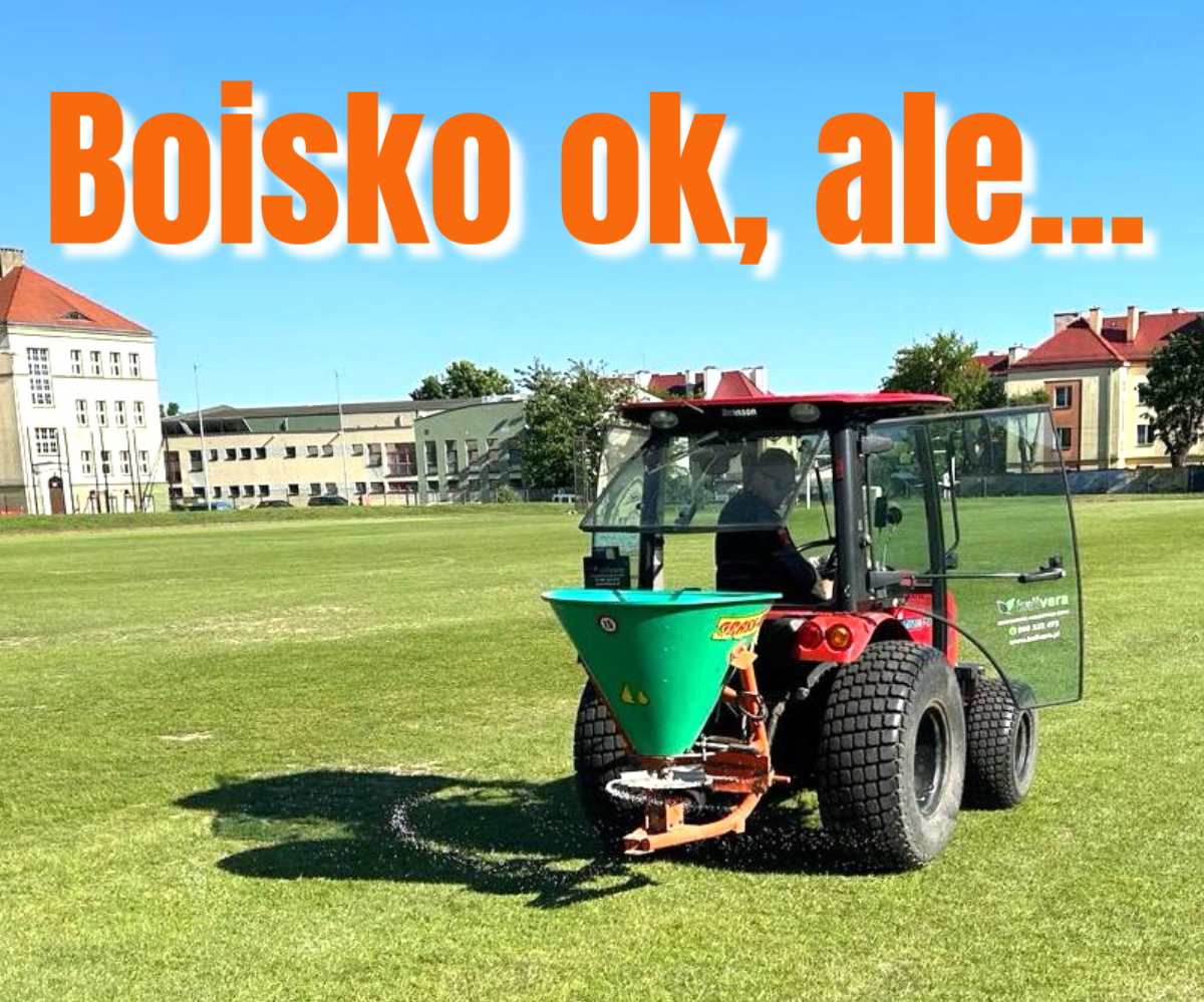boisko