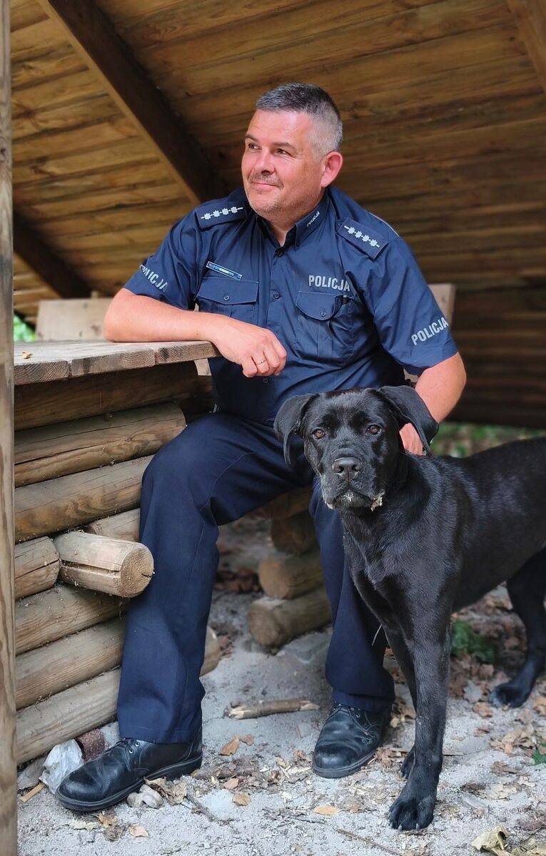 W Dniu Psa pomoc dla porzuconego psa! Był wychudzony i przestraszony